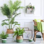 Product-image-612767311_1200x1200