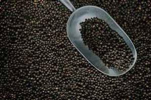 4010f5_31e628eafde24aa388ab05606c7e1f3f_mv2